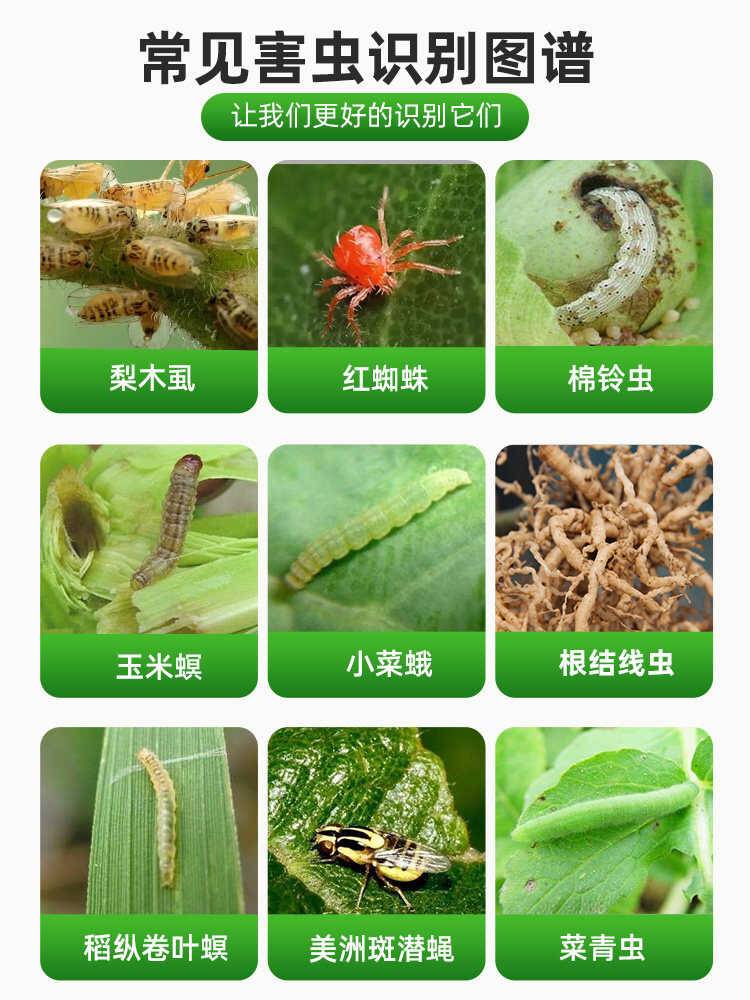 链禾网- 5%阿维菌素茵素月季红蜘蛛花卉蔬菜柑橘果树蔬菜高效农药杀虫剂