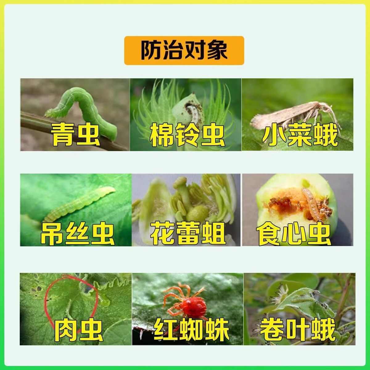原色花卉病害虫百科 6 链禾网- 阿维高氯阿维菌素高效氯氰菊酯菜青虫钻心虫吊丝虫果树蔬菜杀虫