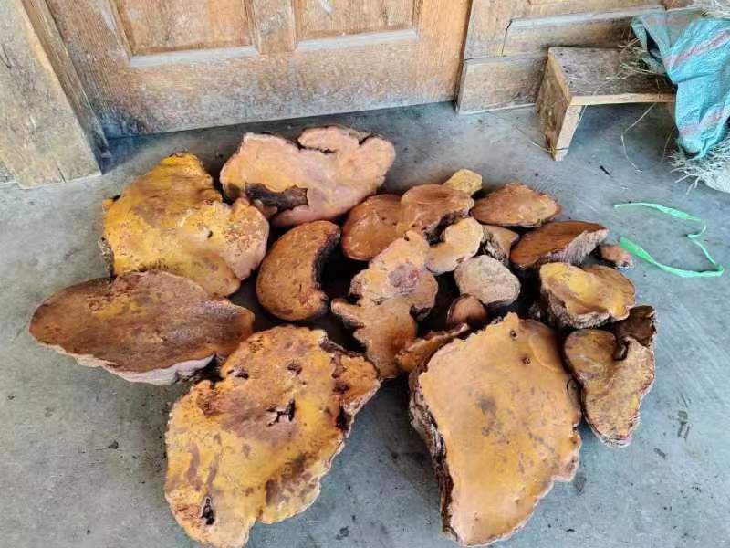 链禾网- 红豆杉灵芝- 农产品采购批发| 产地直供对接