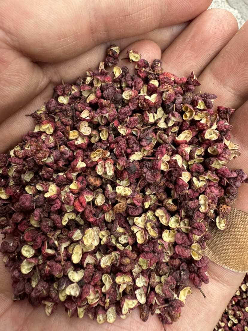 链禾网- 新货上市茂汶红花椒大红袍， 香麻- 农产品采购批发| 产地直供对接
